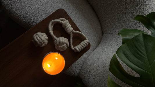 Stijlvol Hondenspeelgoed | Speeltjes die bij je interieur passen