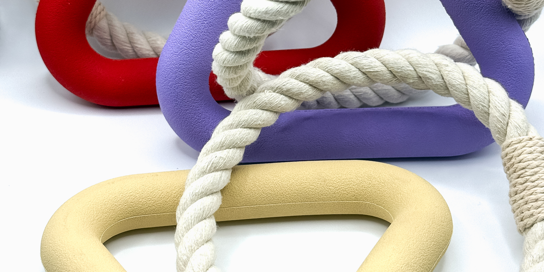 Hondenspeelgoed veiligheid