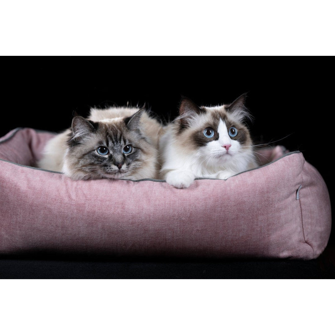 LABONI GLAM orthopedisch hondenbed van fluweel met afneembare hoes, grafiet