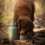 hond drinkt uit 3-in-1 rvs drinkfles met afneembare bak tijdens wandeling