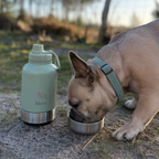 franse bulldog drinkt uit 3-in-1 rvs hondenfles met geïntegreerde drinkbak