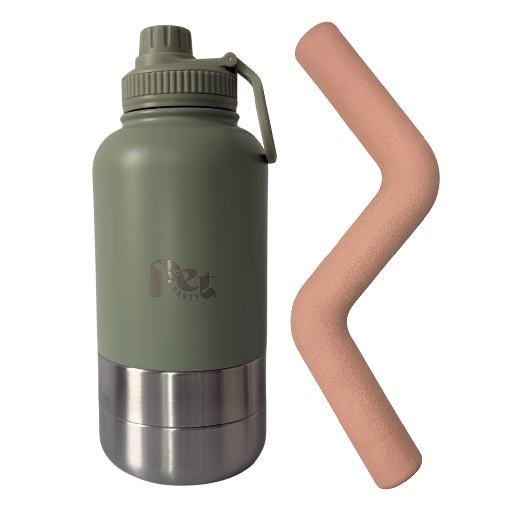 draagbare 3-in-1 rvs hondenfles met speeltak van natuurlijk rubber