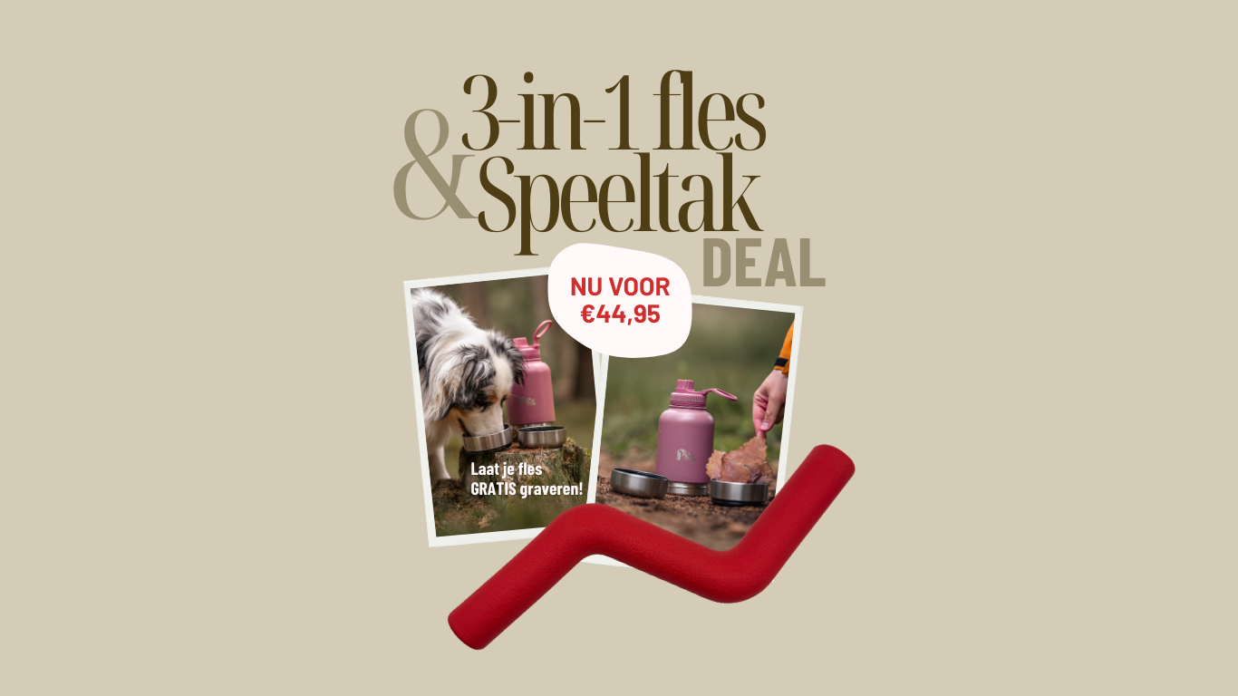 Bundel deals speeltak + luxe 3 in 1 fles