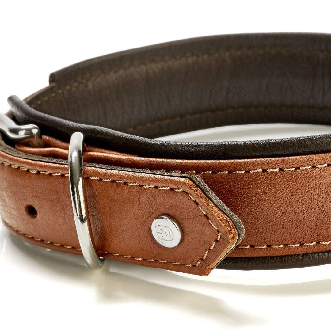Cognackleurige leren hondenhalsband AMICI met dubbele D-ring