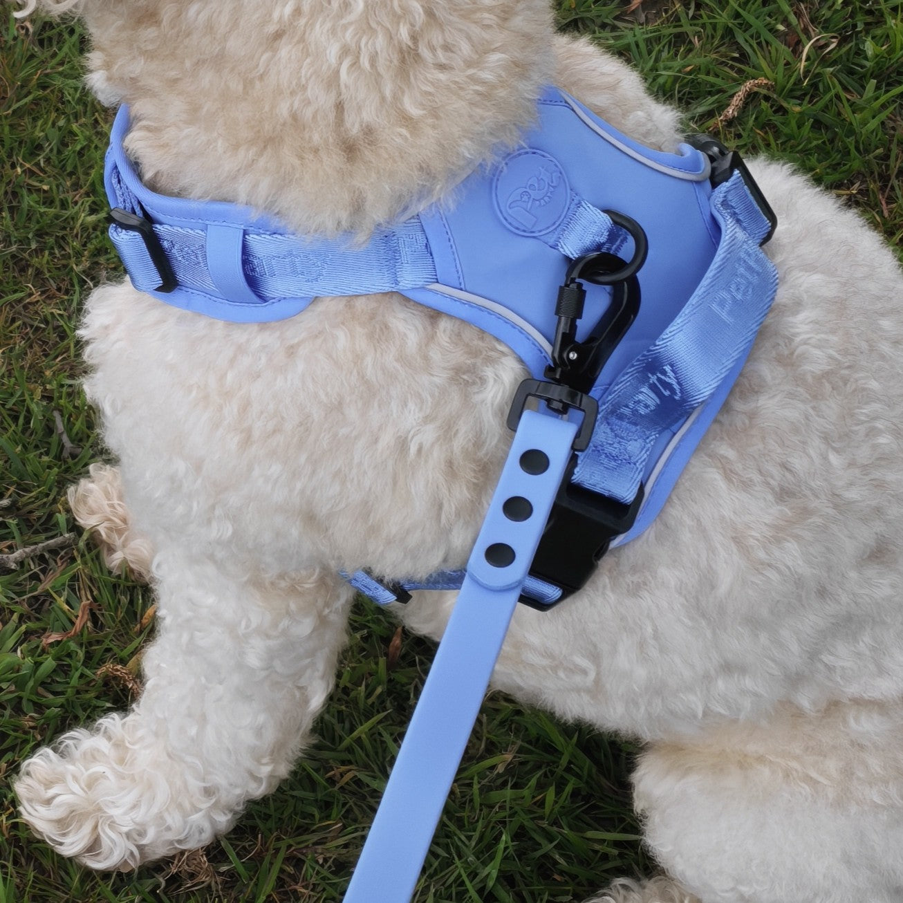 Pet Party Walk Set voor comfortabele wandelingen.