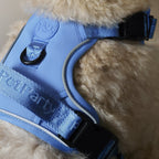 Blauw of roze no pull harnas voor honden.