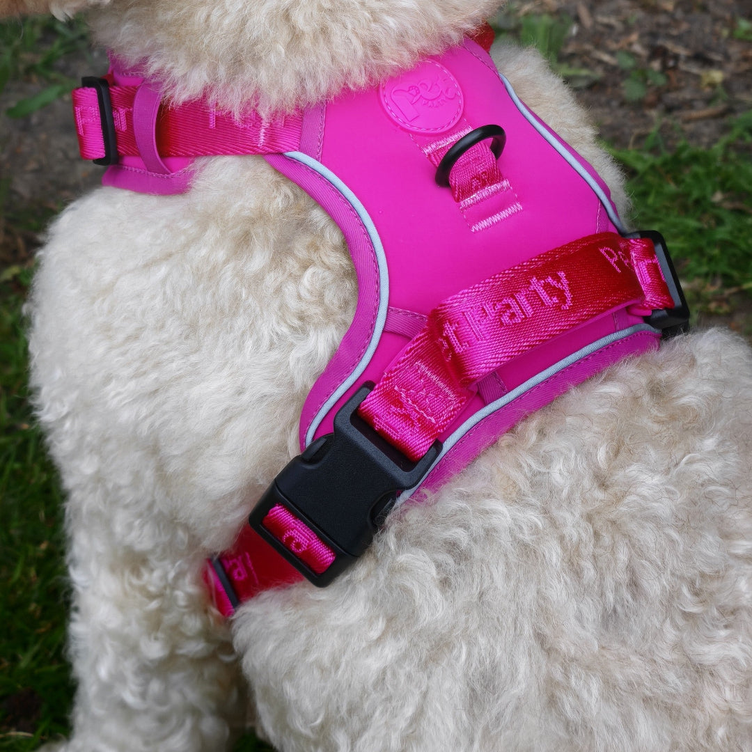 Pet Party Walk Set voor comfortabele wandelingen.