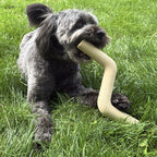 Hond kauwt op stevig kauwspeelgoed in de vorm van een tak
