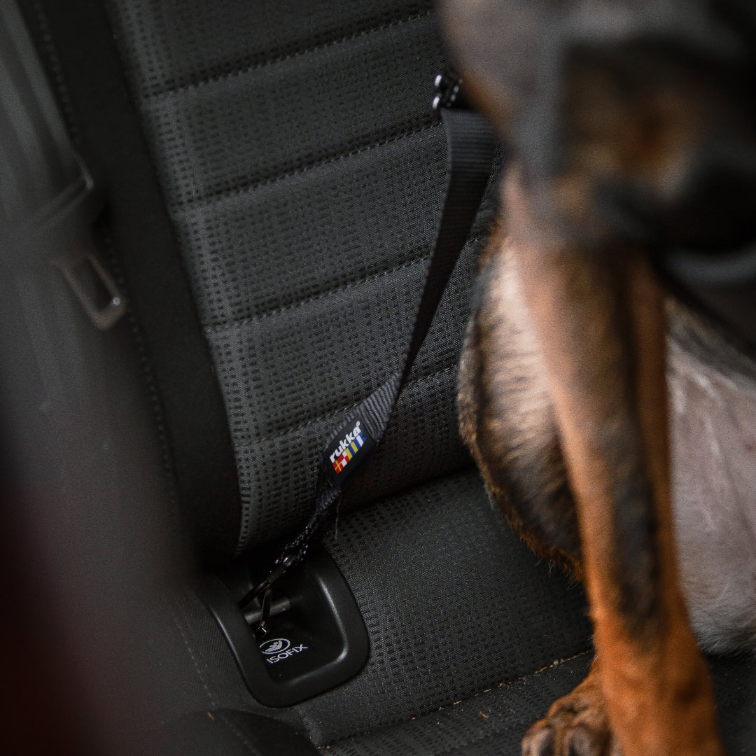 Rukka Seatbelt Clip ISOFIX autogordel voor honden, verstelbaar en veilig in de auto