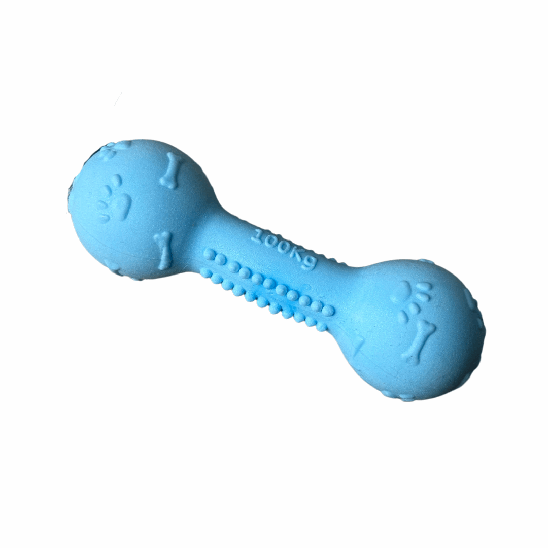 Hondenspeelgoed Dumbell blauw