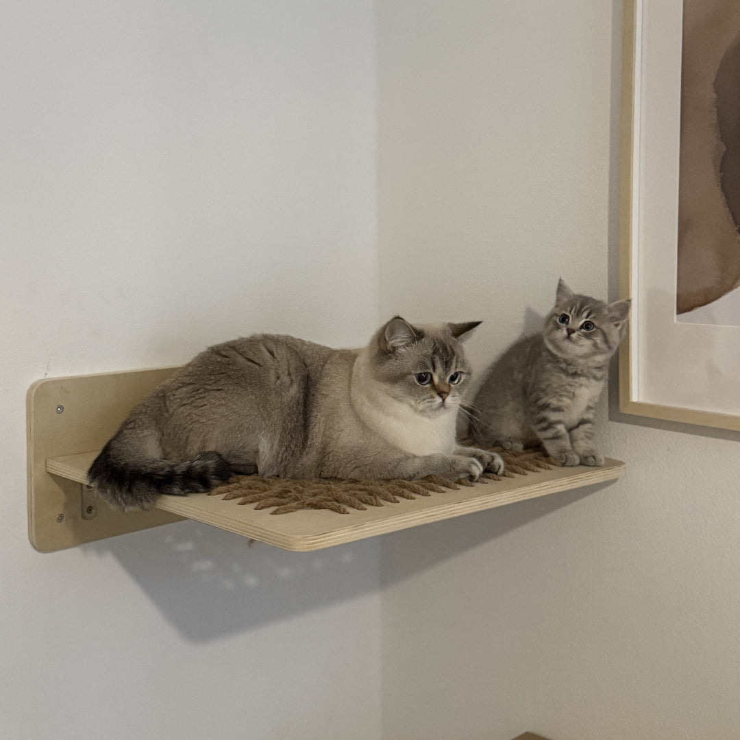 Kat + kitten in katten hangmat van Pet Party