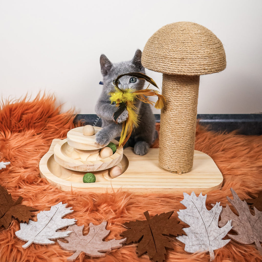 Krab_Speel_Paddenstoel_van_hout_mettouwkap_speelcirkel_en_catnipbal