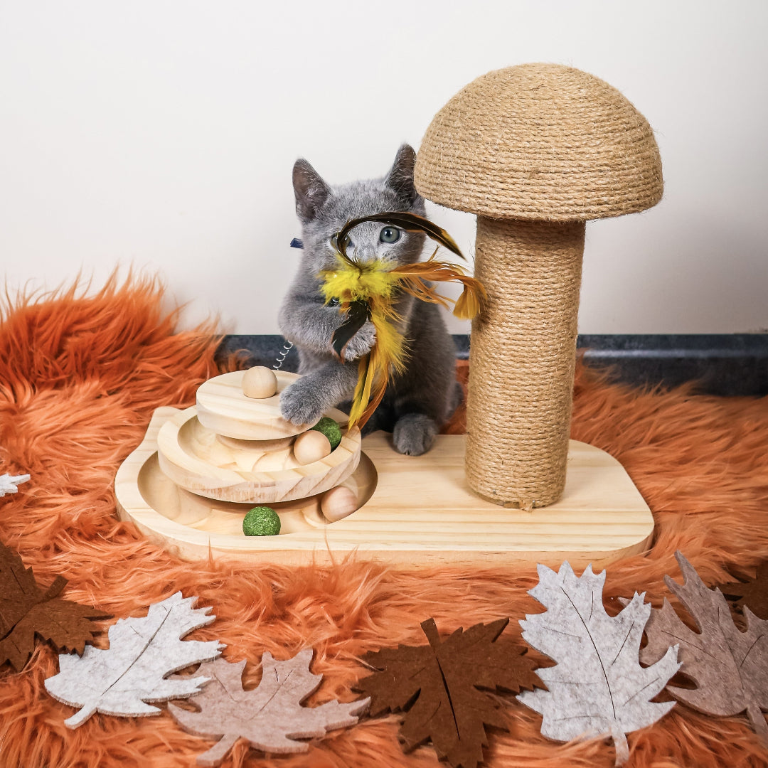 Krab_Speel_Paddenstoel_van_hout_mettouwkap_speelcirkel_en_catnipbal