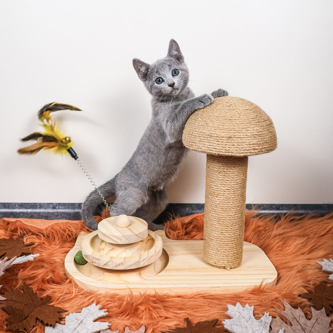 Krab_Speel_Paddenstoel_van_hout_mettouwkap_speelcirkel_en_catnipbal