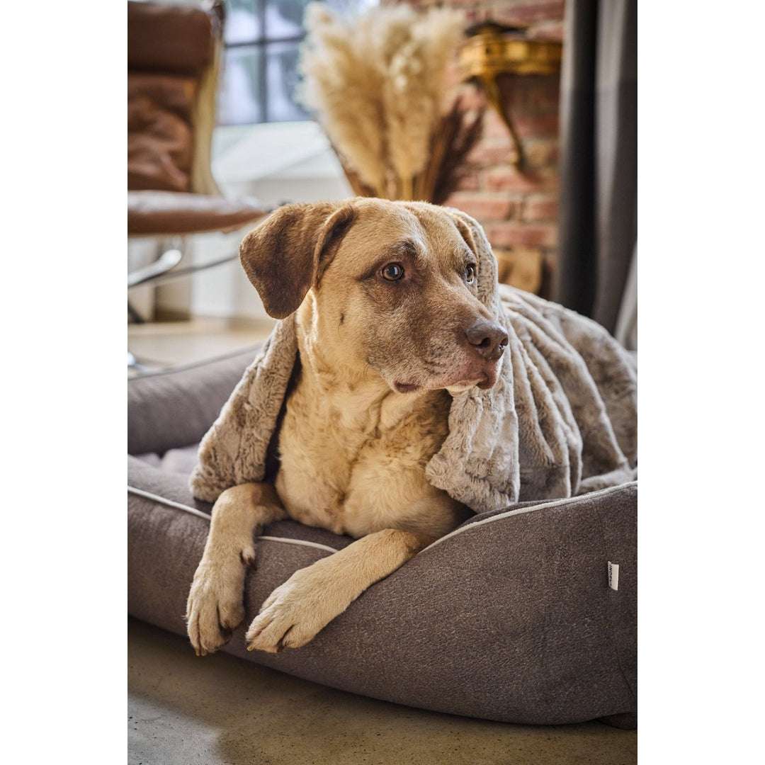 LABONI CLASSIC BUFFALO hondenbed in taupe vintage look – knuffelzacht, duurzaam en orthopedisch