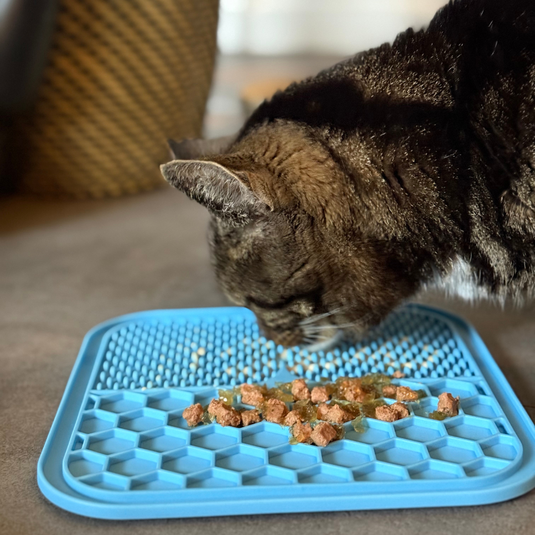 blauwe likmat voor kat van siliconen tegen schrokken en verveling