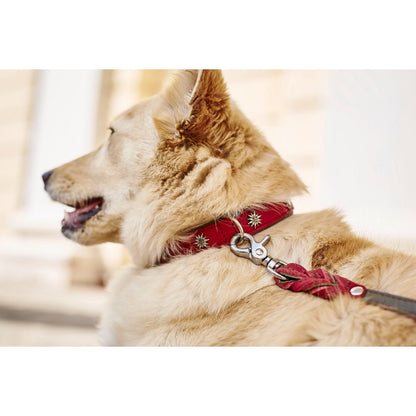 Luxe rode Edelweiss hondenhalsband van leer met Alpen-applicatie