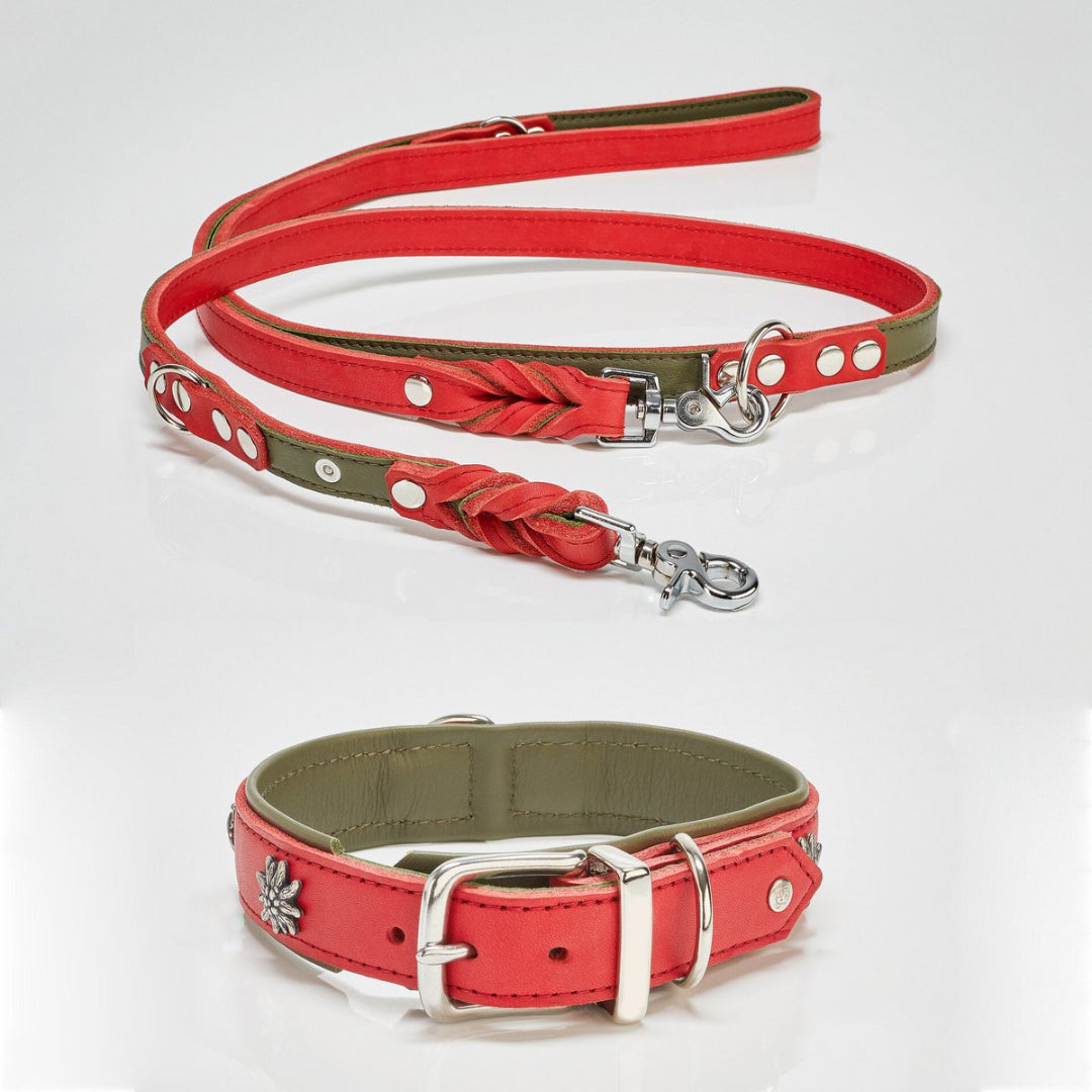 Luxe rode Edelweiss hondenhalsband van leer met Alpen-applicatie