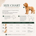 Roze Pet Party Walk Set voor trendy honden
