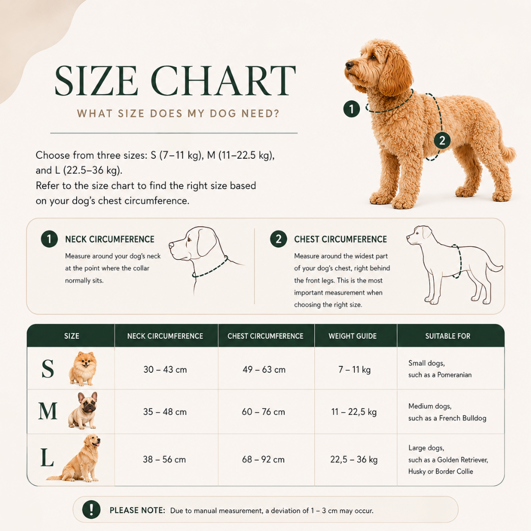 Roze Pet Party Walk Set voor trendy honden