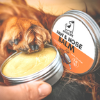 OurDogsLife paw & nose balm voor verzorging van hondenpoten en neus poot op balsum