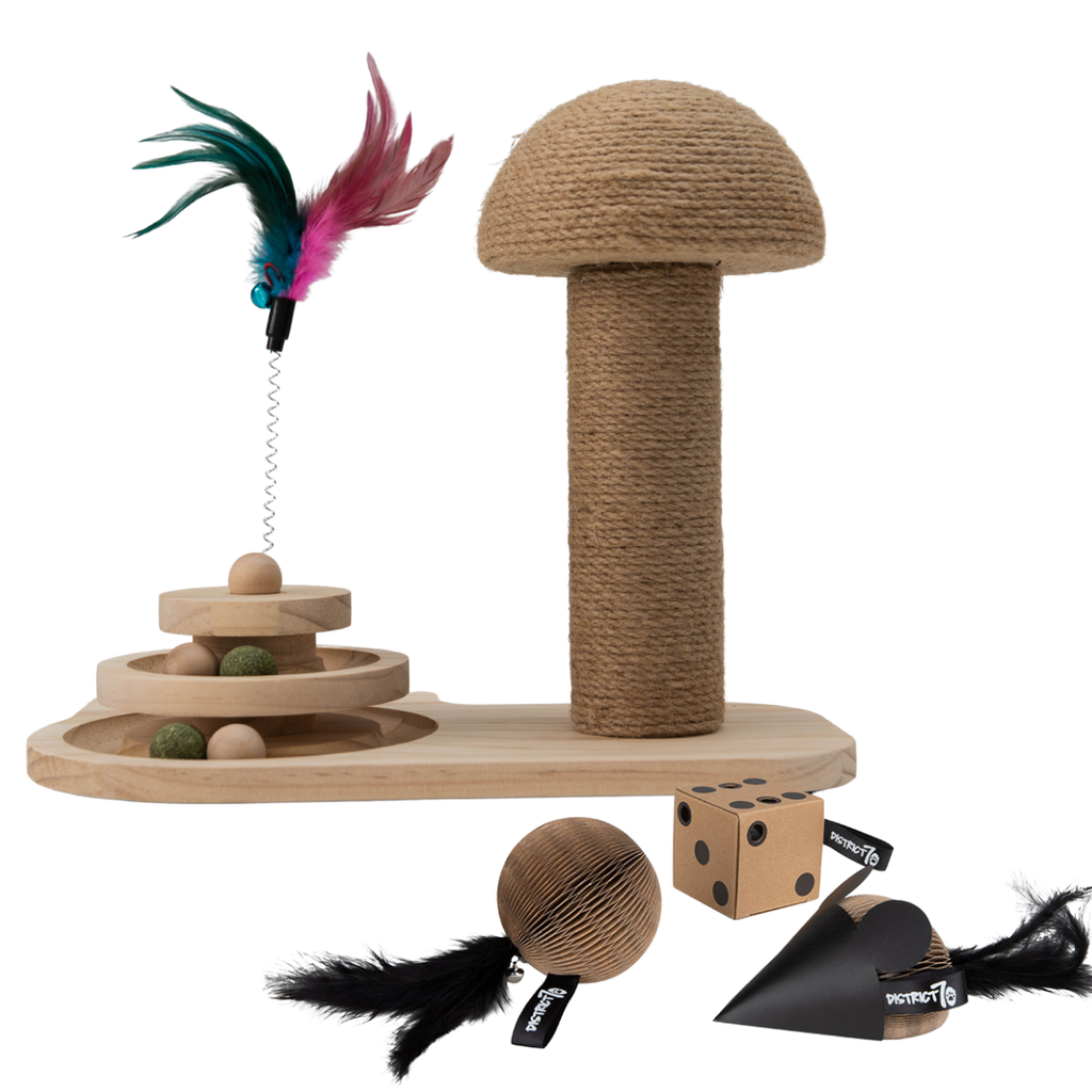 paddenstoel krabpaal giftset met kartonnen kattenspeeltjes en speelbal voor katten