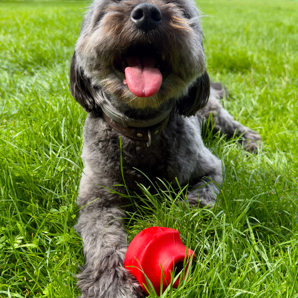 snackbal van natuurlijk rubber met opening voor snacks. uitdaging voor de hond. mentaal spel.