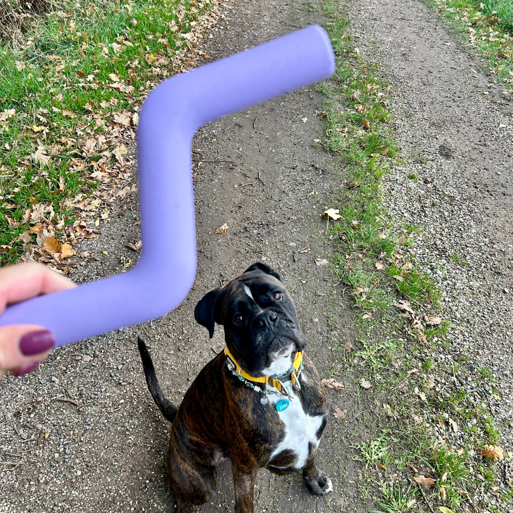 Speeltak voor honden van natuurlijk rubber. Vervanger van een tak en dus splintervrij. Veilig voor honden.
