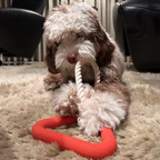Triangel voor honden om mee te spelen. Speelgoed gemaakt van natuurlijk rubber.