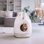 district-70-casa-teddy-cream