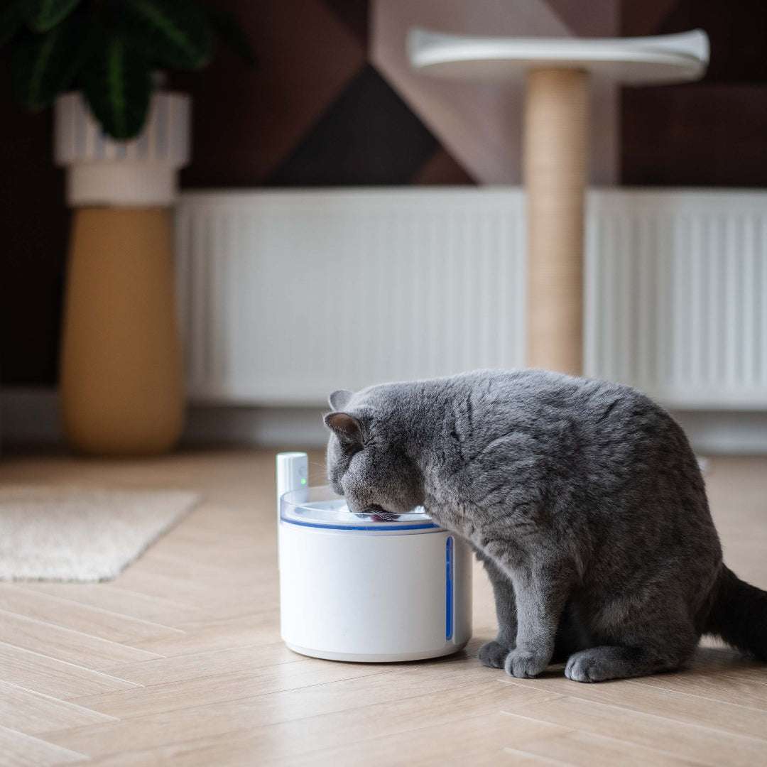 district-70-flow-drinkfontein-zwart