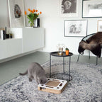 district-70-spy-speelvlak-bovenaanzicht