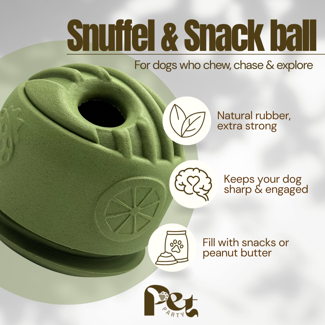 hond_speelt_met_olijfgroene_Snuffel_Snack_Bal_van_natuurlijk_rubber_gevuld_met_brokjes_spelen_begin_foto