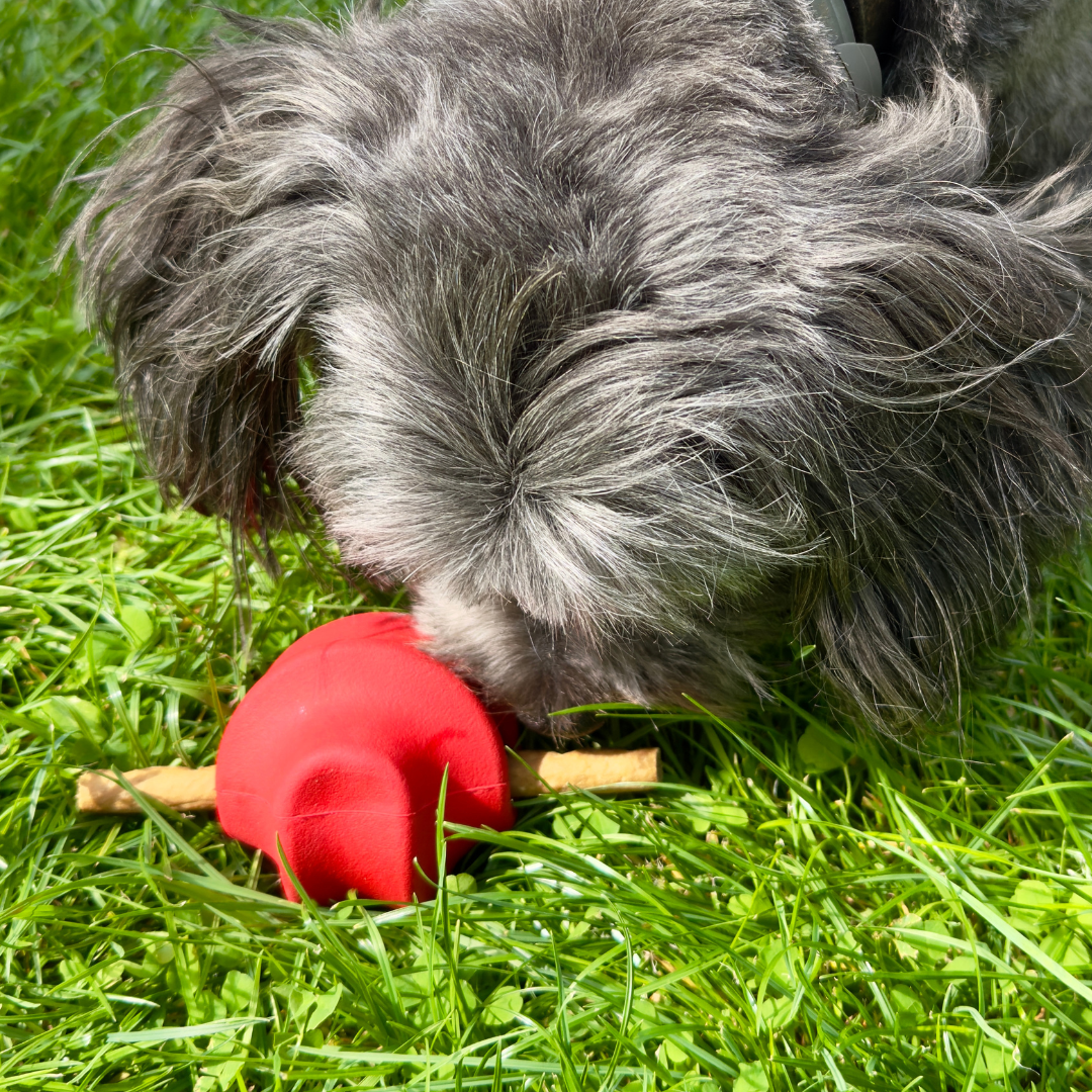 snackbal van natuurlijk rubber gevuld met snack. Spel voor de hond. 