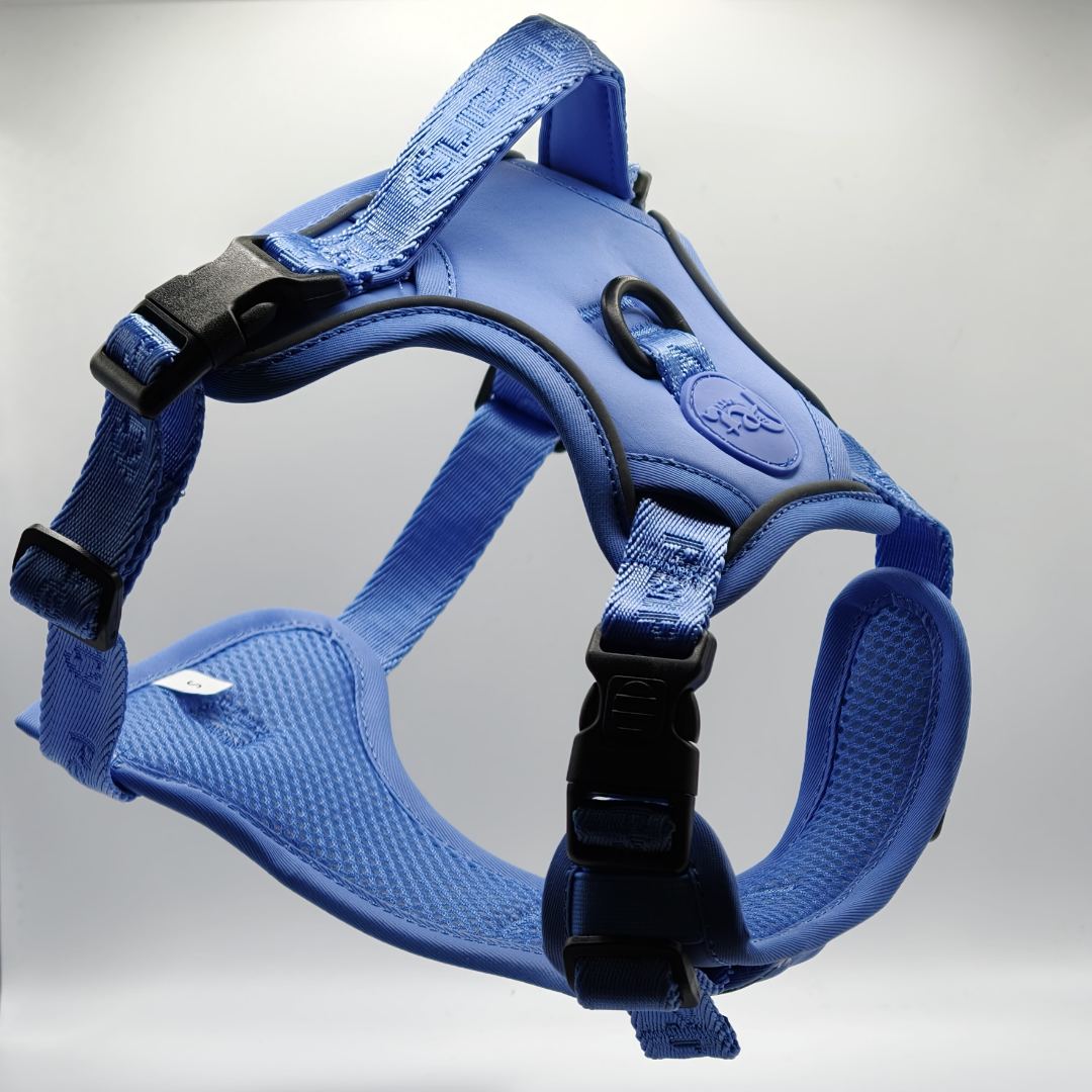 Pet Party Walk Set voor comfortabele wandelingen.