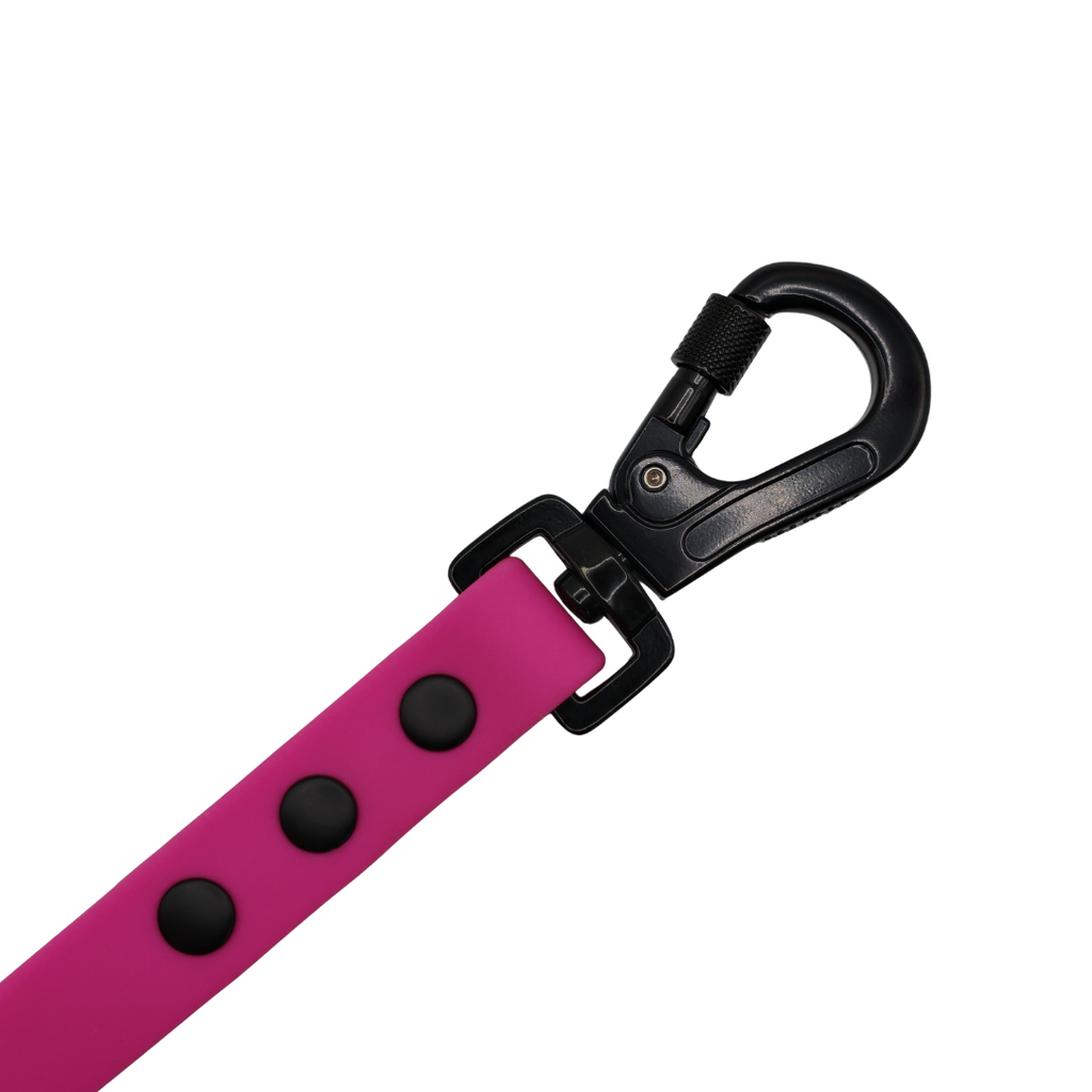Pet Party Walk Set