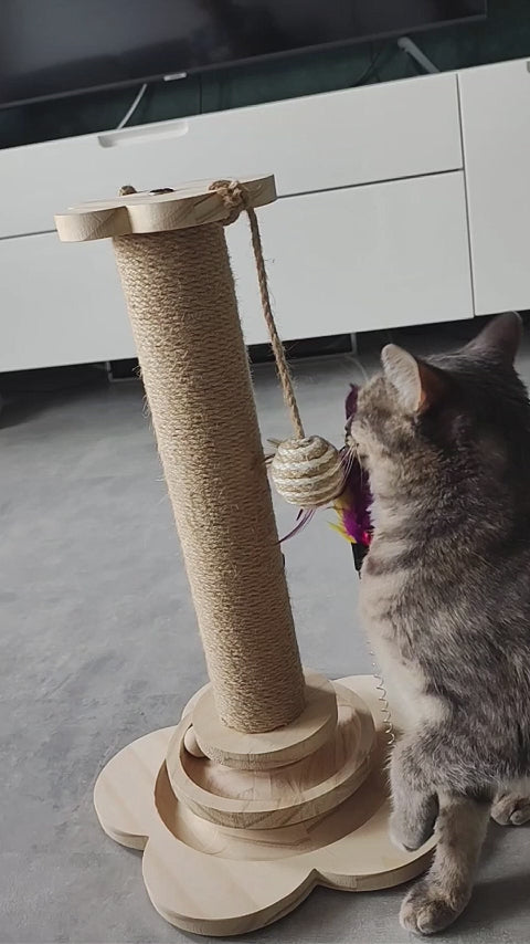 Kat speelt met krabpaal Pet Party