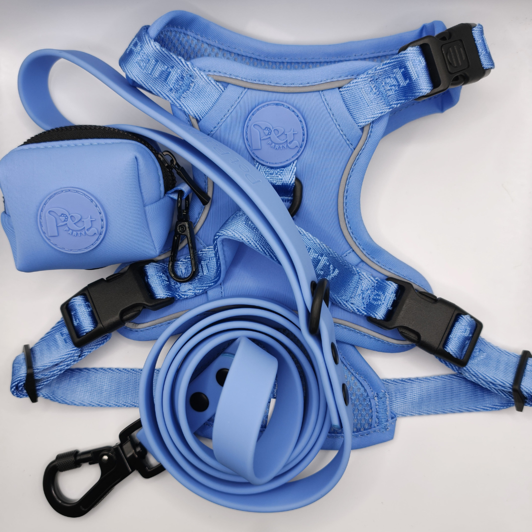 Pet Party Walk Set voor comfortabele wandelingen.