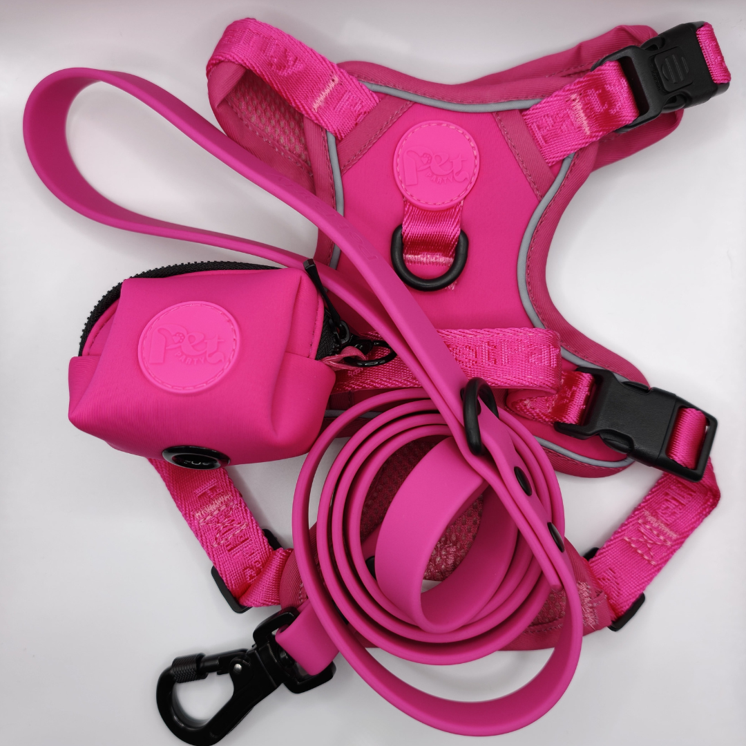 Pet Party Walk Set voor comfortabele wandelingen.