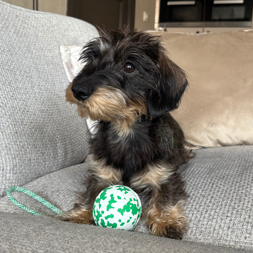 Bamboe Bal met touw Groen/Wit